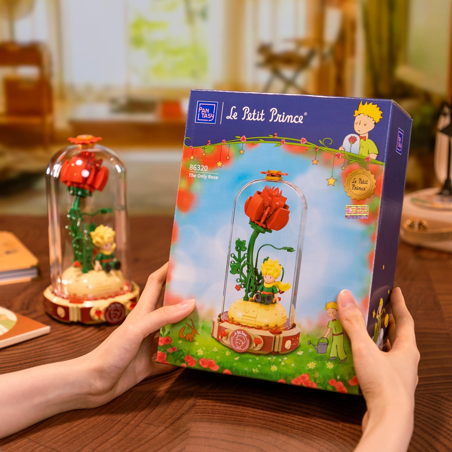 Le Petit Prince The Only Rose