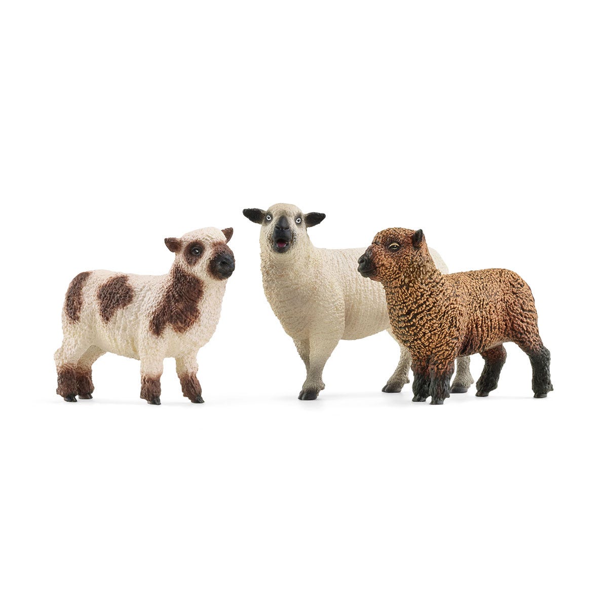 42660 Sheep Friends