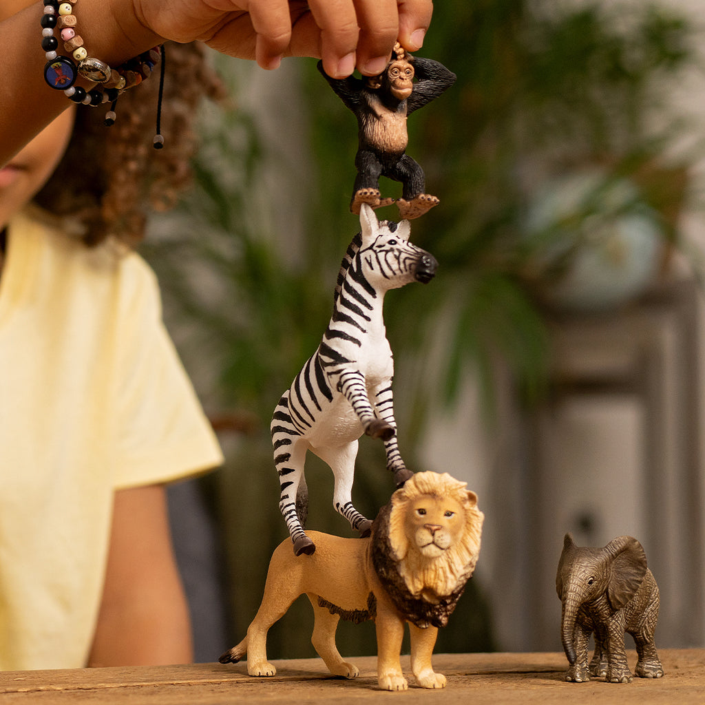 42721 Wild Life Africa Starter Set