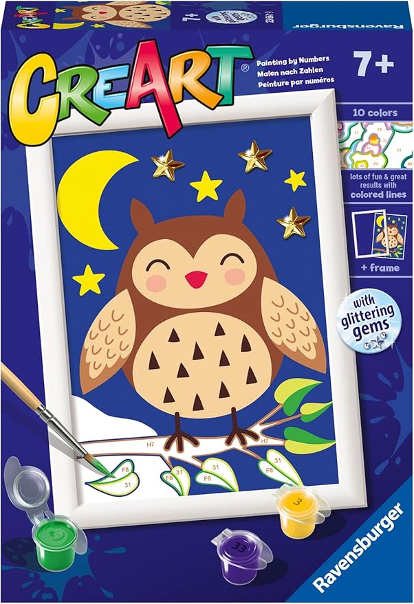 CreArt Cute Owl Paint by Numbers Kit