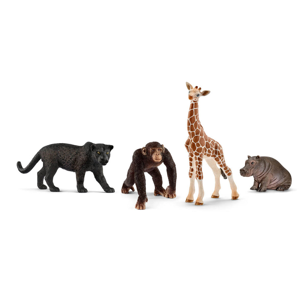 72162 WILD LIFE starter set