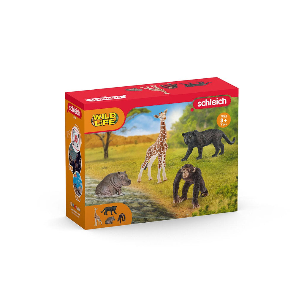 72162 WILD LIFE starter set