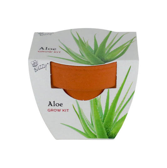 Holiday Mini Grow Pot - Aloe