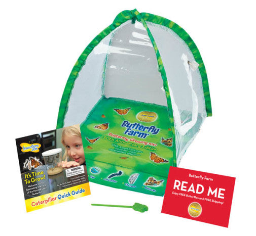 Insect Lore Butterfly Farm Kit