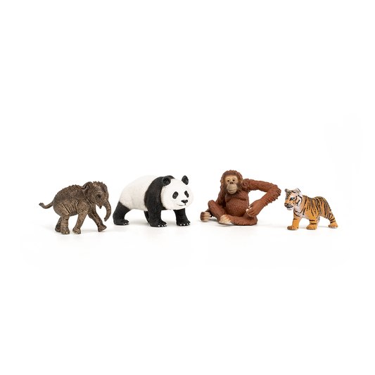 42736 Wild Life Asia Starter Set