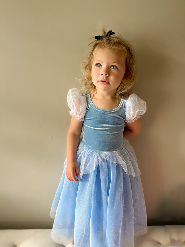Princess Cinderella blue costume dress