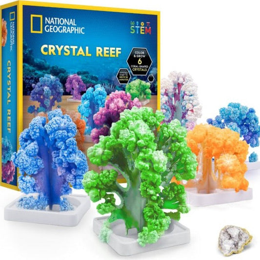 Crystal Reef Coral Growing Lab