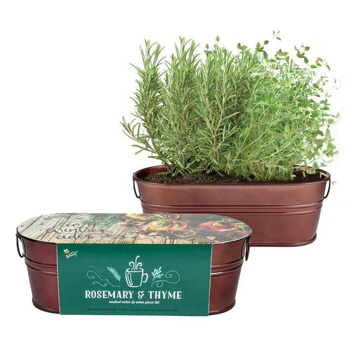 Spiced Cider Rosemary & Thyme Windowsill Grow Kit