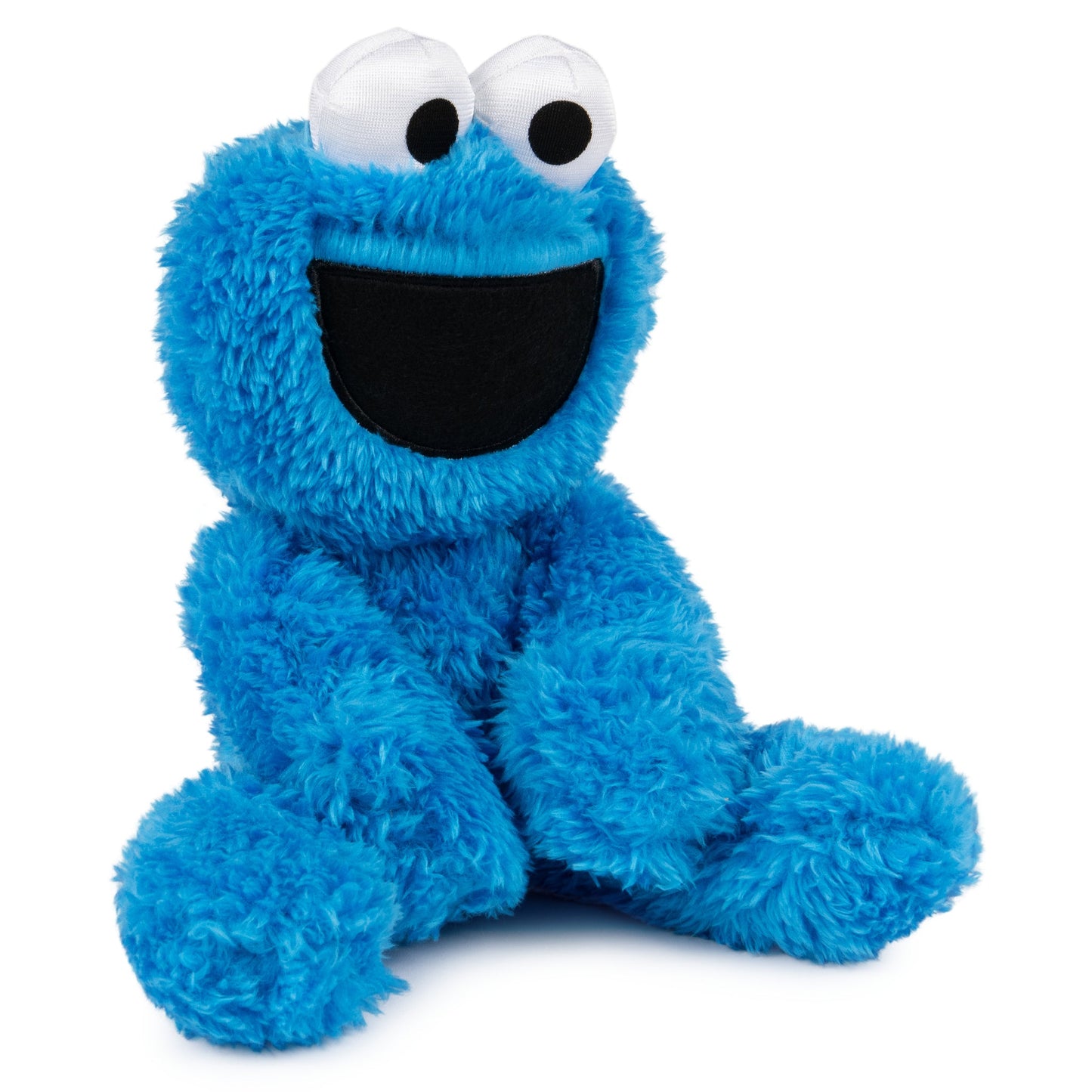 COOKIE MONSTER TAKE ALONG BUDDY, 13 IN