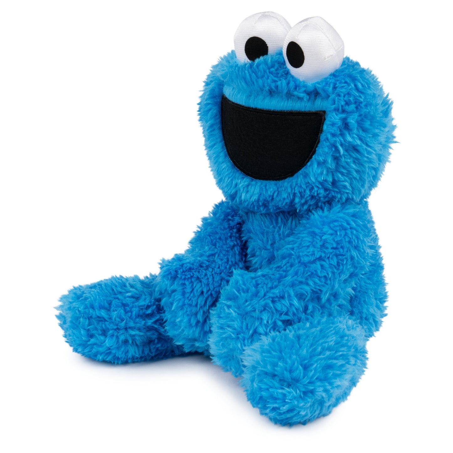COOKIE MONSTER TAKE ALONG BUDDY, 13 IN