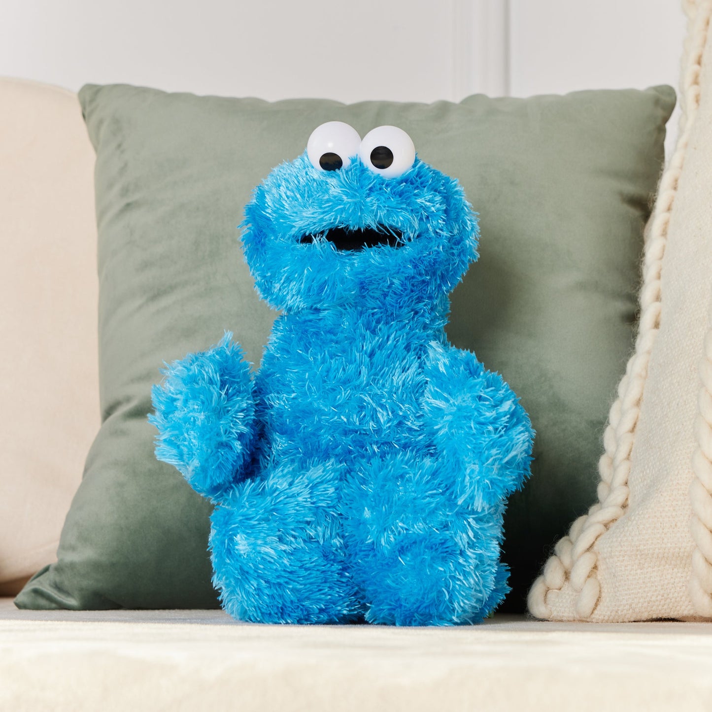 COOKIE MONSTER, 12 IN