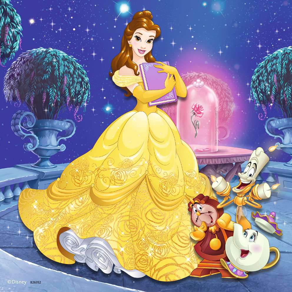 Disney Princess Adventure
