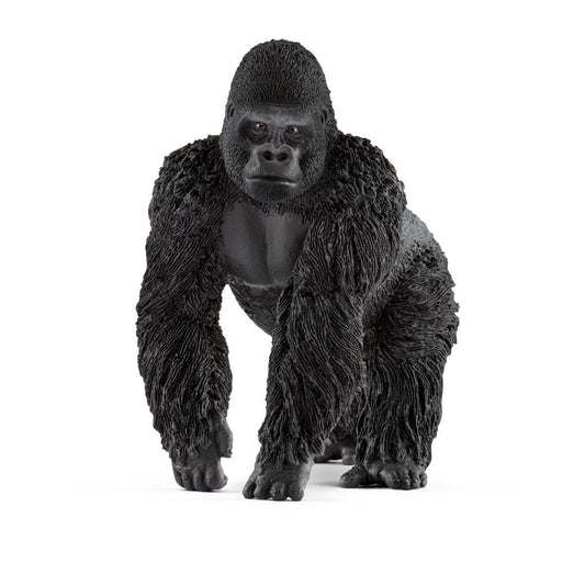 Gorilla, male 14770