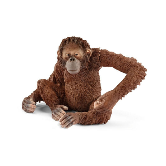 14775 Orangutan