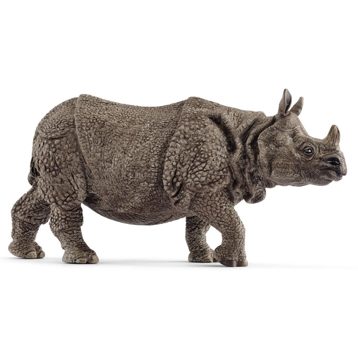 Indian rhinoceros 14816