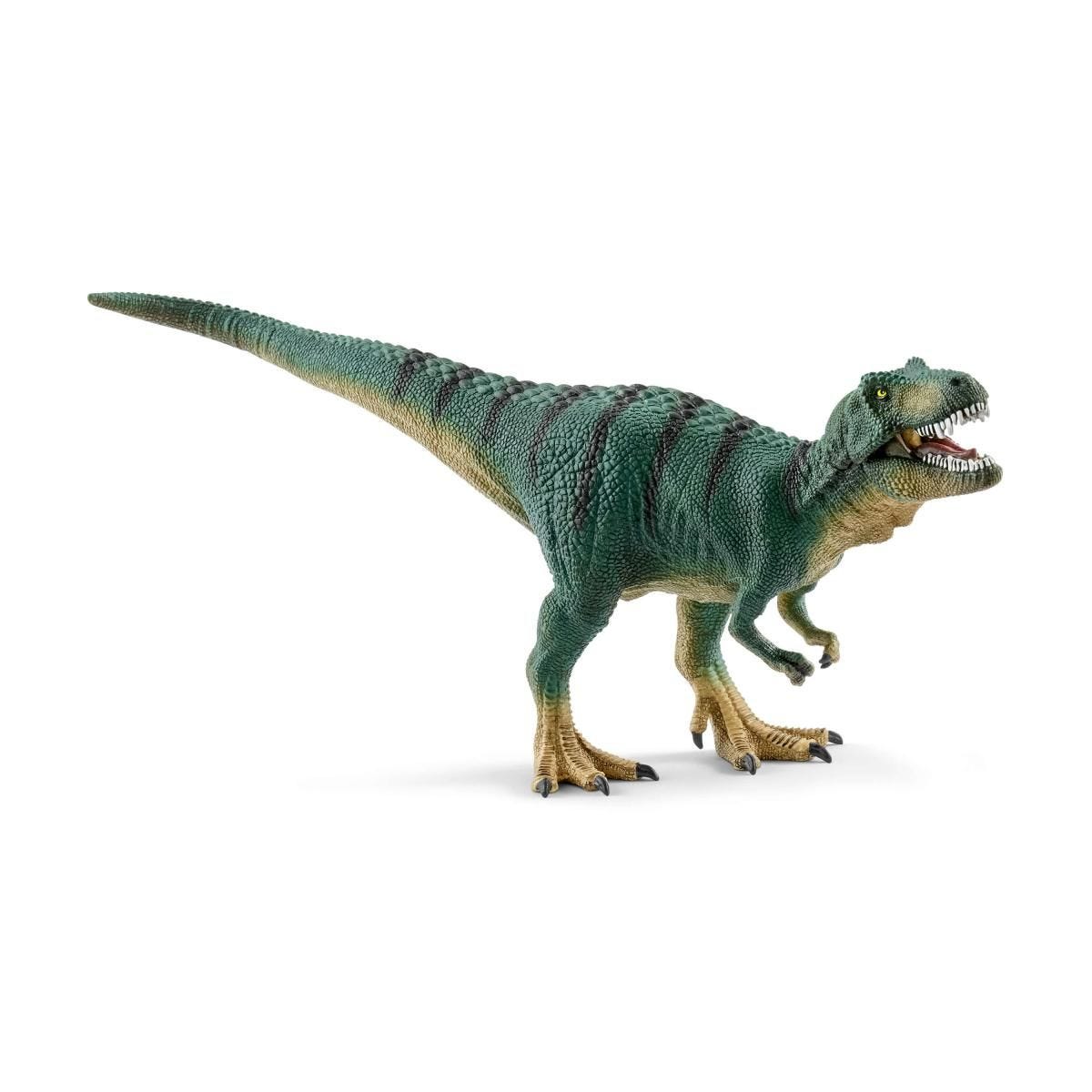Tyrannosaurus rex juvenile 15007