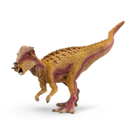Pachycephalosaurus 15024