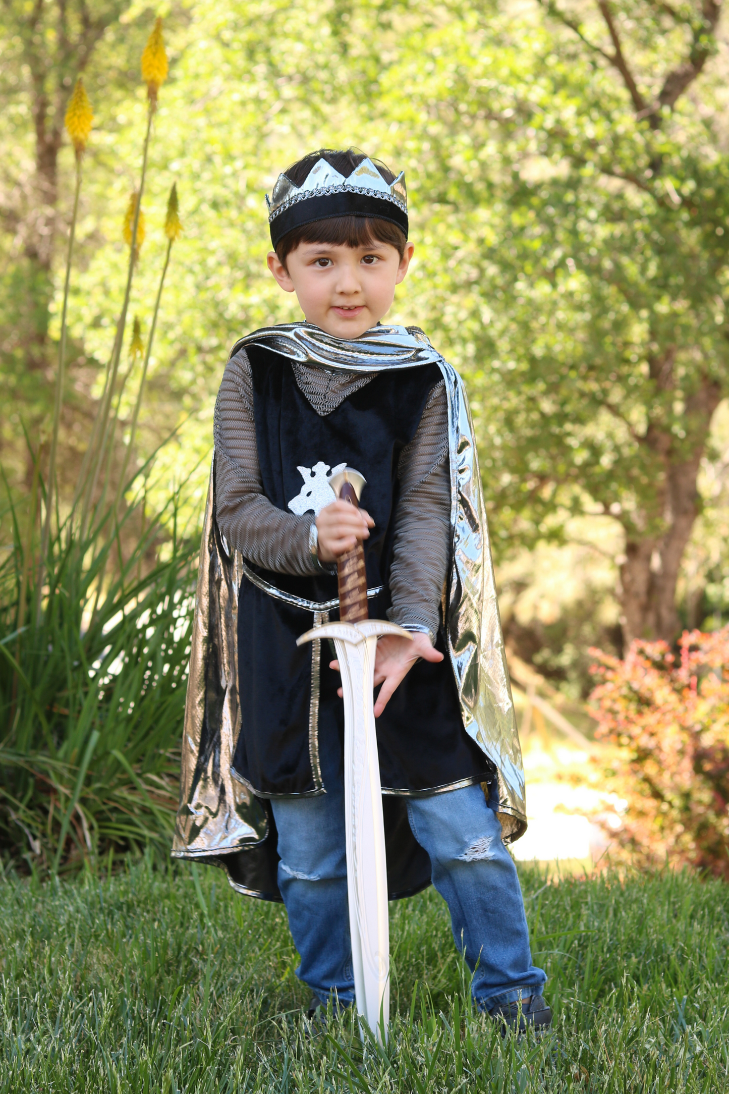 SILVER KNIGHT SET WITH TUNIC, CAPE AND CROWN