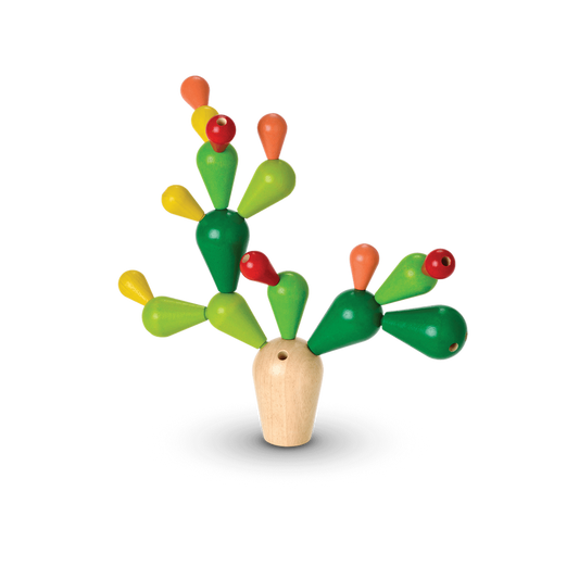 4101 Balancing Cactus