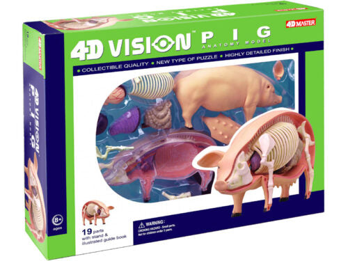 4D Vision Animal Pig