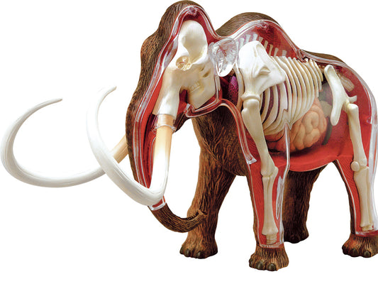 4D Vision Animal Woolly Mammoth