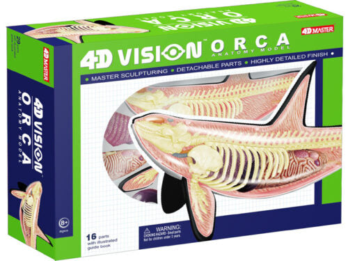 4D Vision Animal Orca