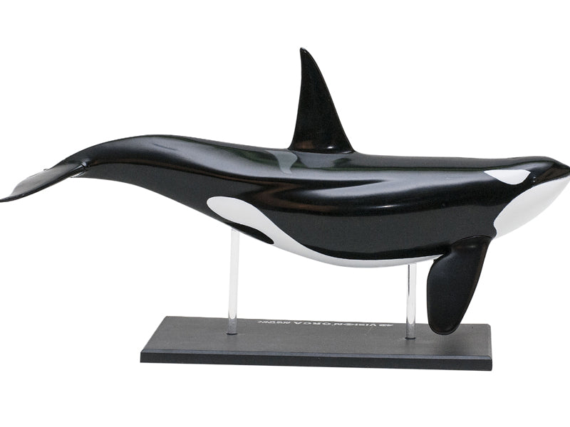 4D Vision Animal Orca – MONSTER KIDS