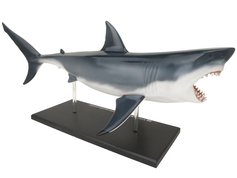4D Vision Animal Great White Shark