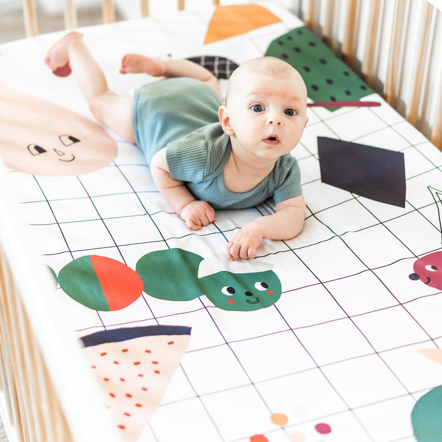 Cotton Sateen Crib Sheet: Picnic In The Park