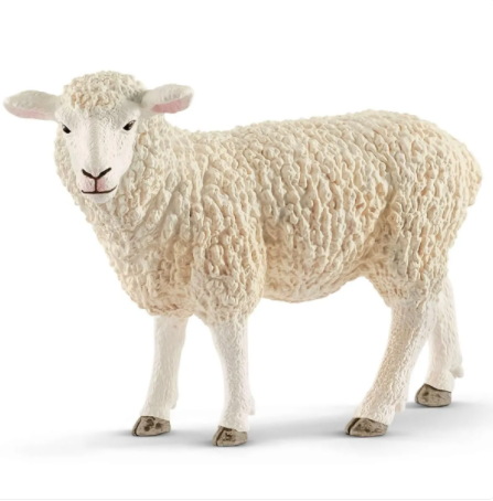 Sheep 13882