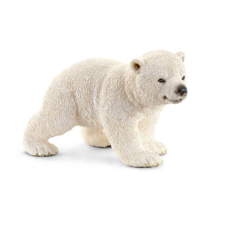 Polar bear cub, walking 14708