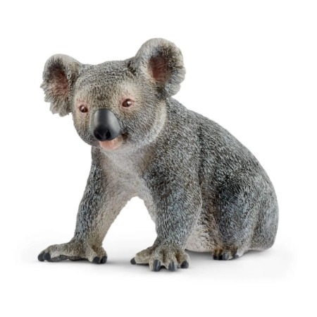 Koala 14815