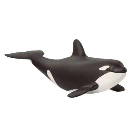 Baby Orca 14836