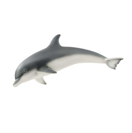 Dolphin 14808