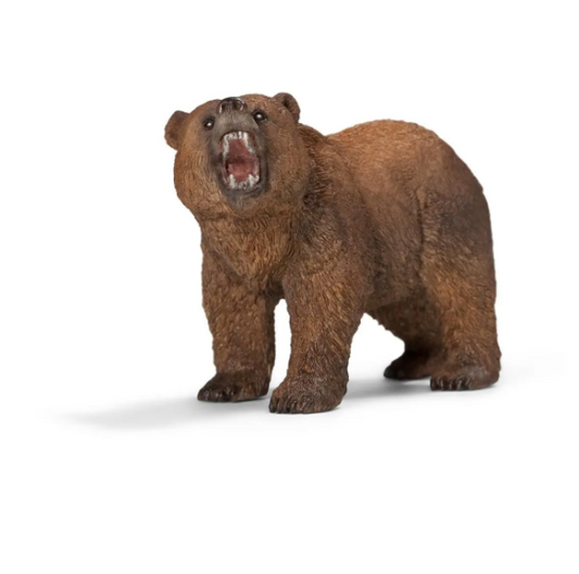 Grizzly bear 14685