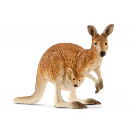 Kangaroo 14756