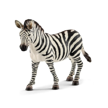 Zebra female 14810