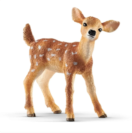 White-tailed fawn 14820
