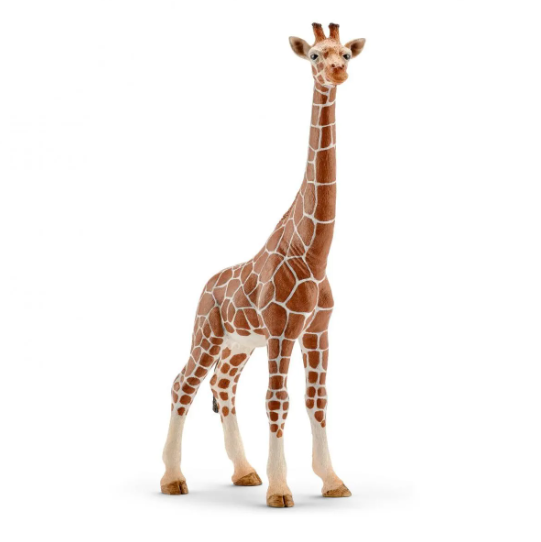 Giraffe, female 14750