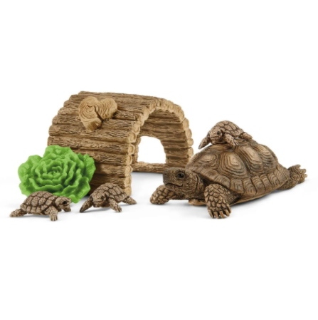 Tortoise home 42506