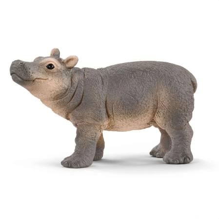 14831 Baby Hippopotamus