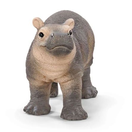 14831 Baby Hippopotamus