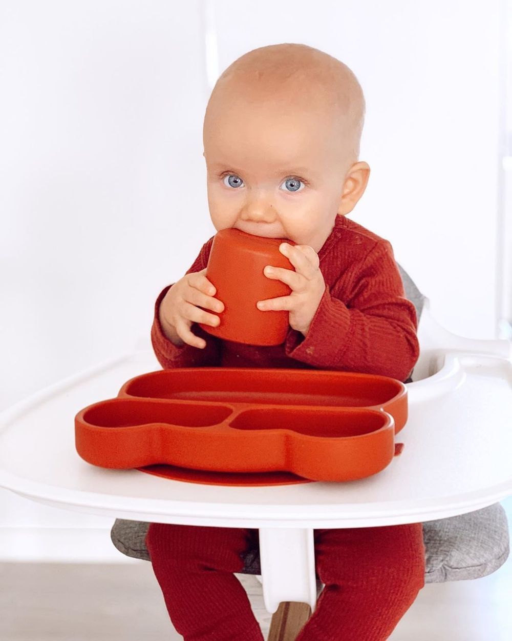 BEAR STICKIE™ PLATE - RUST
